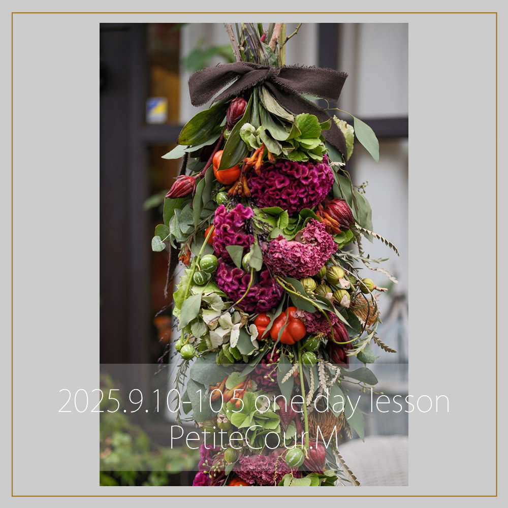 季節限定の２−３月写真