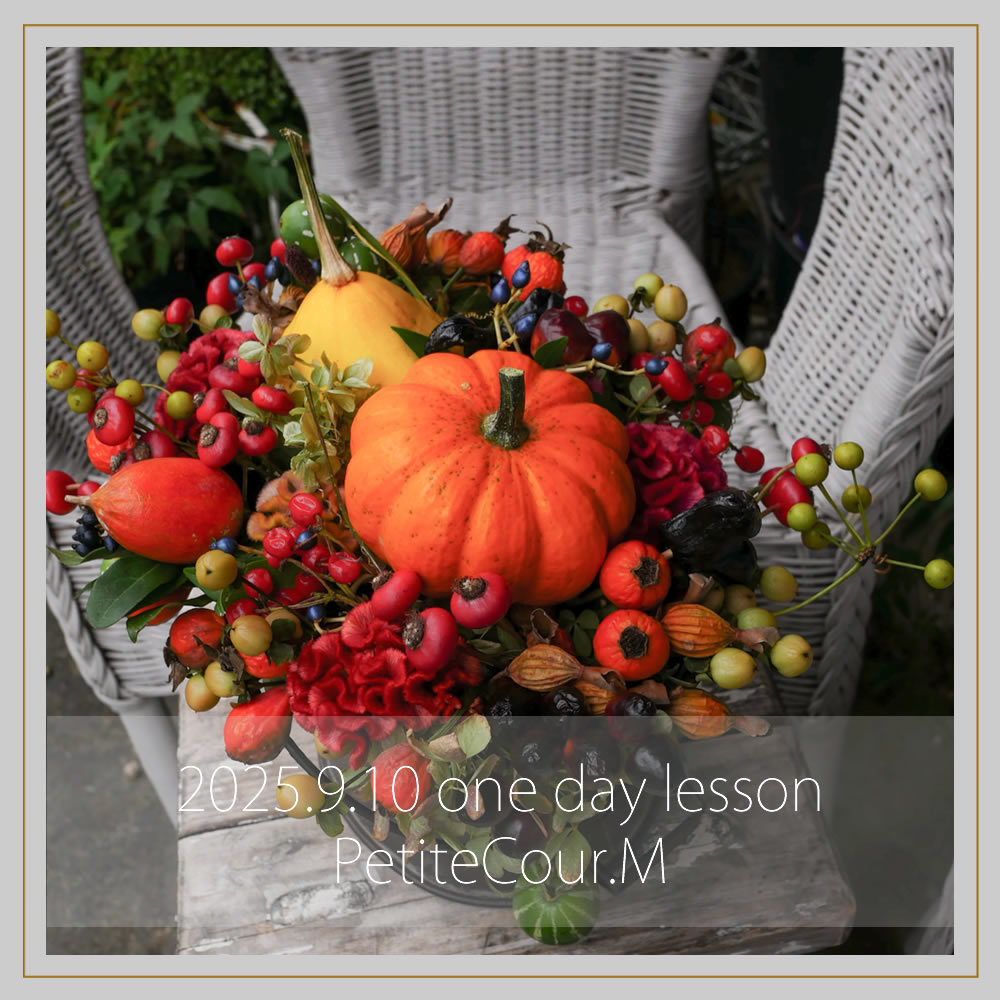 季節限定の２−３月写真