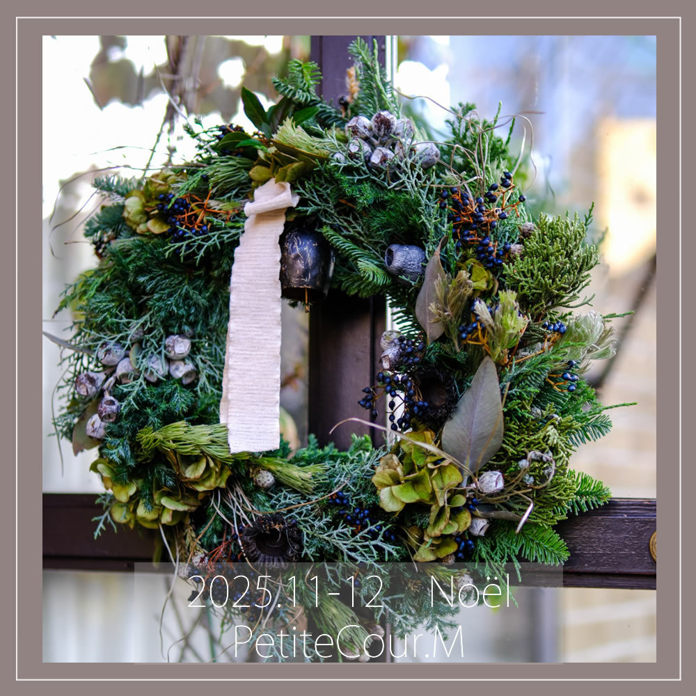 季節限定の11、12月写真