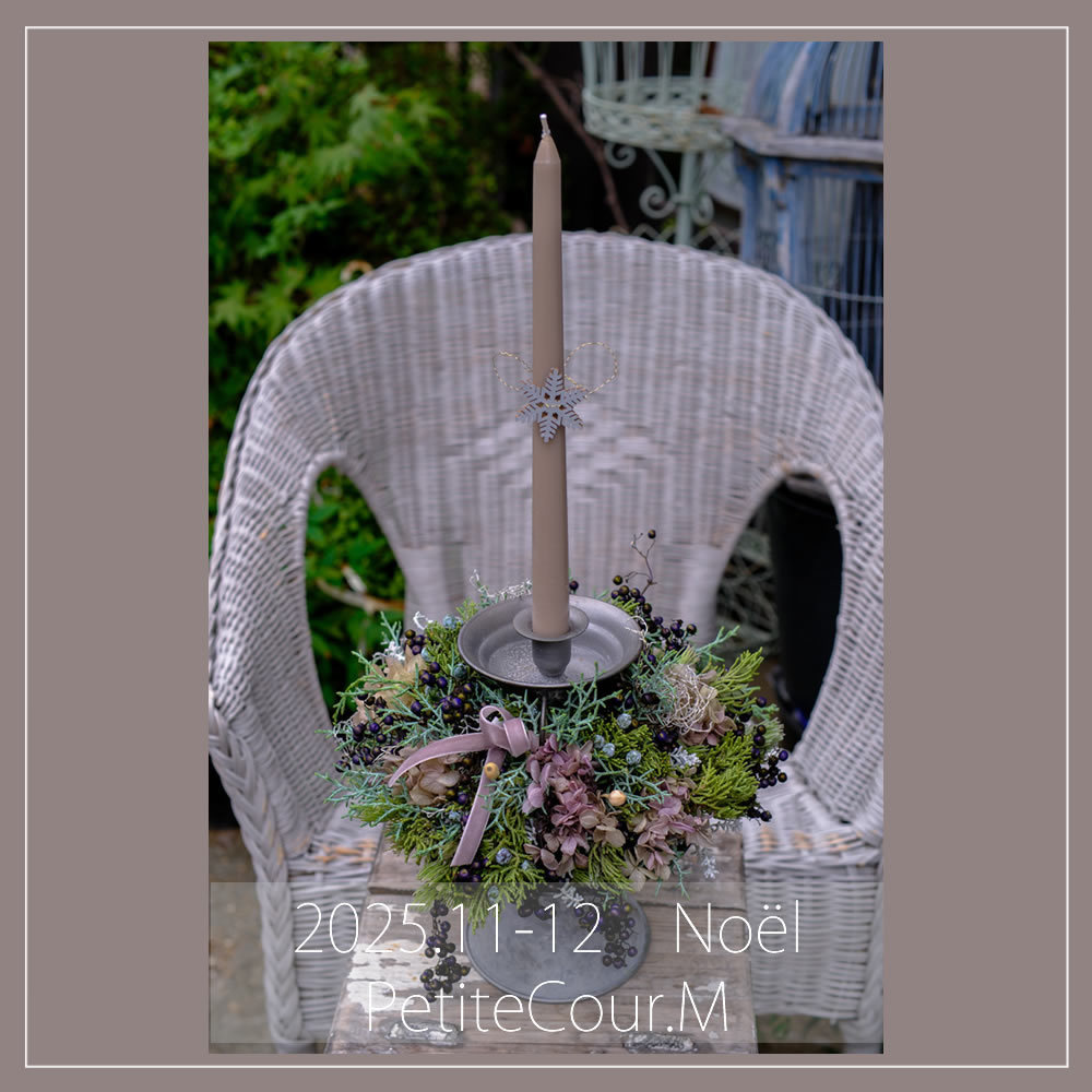 季節限定の11、12月写真