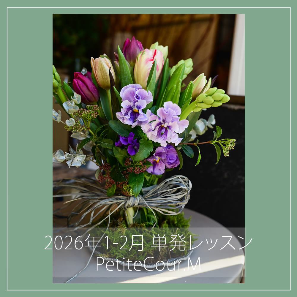 季節限定の８、９月写真