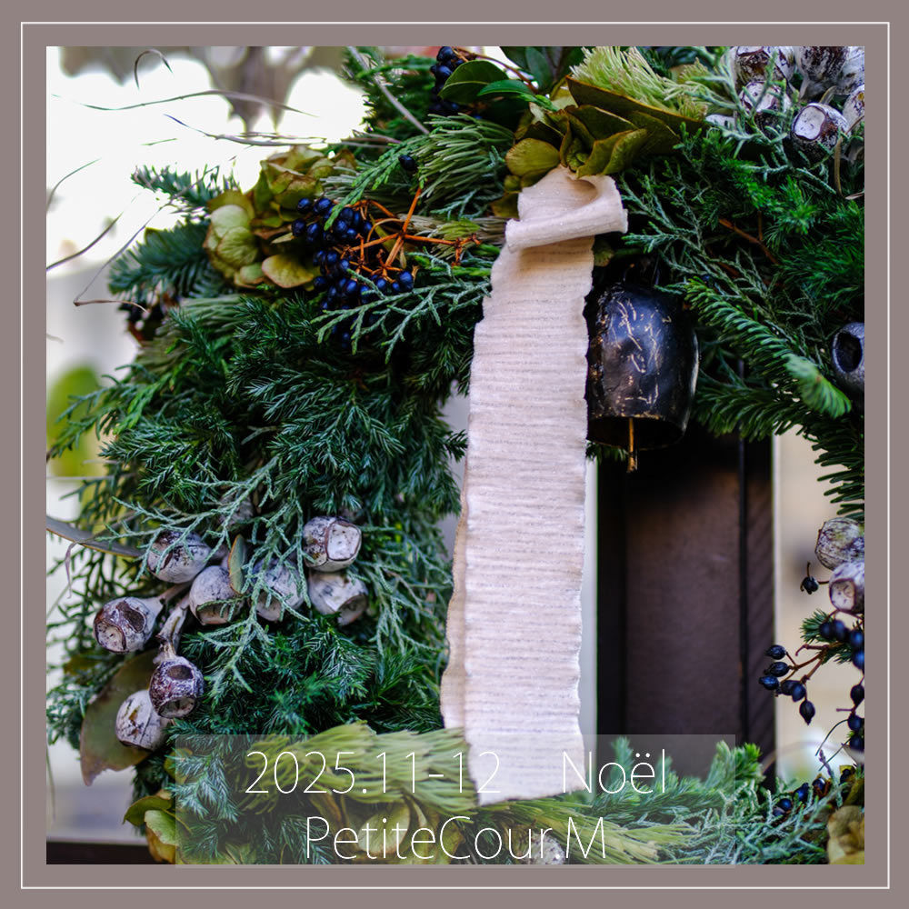 季節限定の11、12月写真