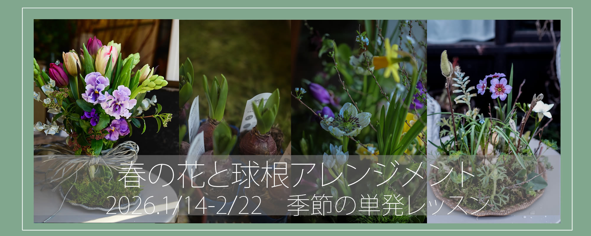 単発花レッスン・クリスマス教室の写真