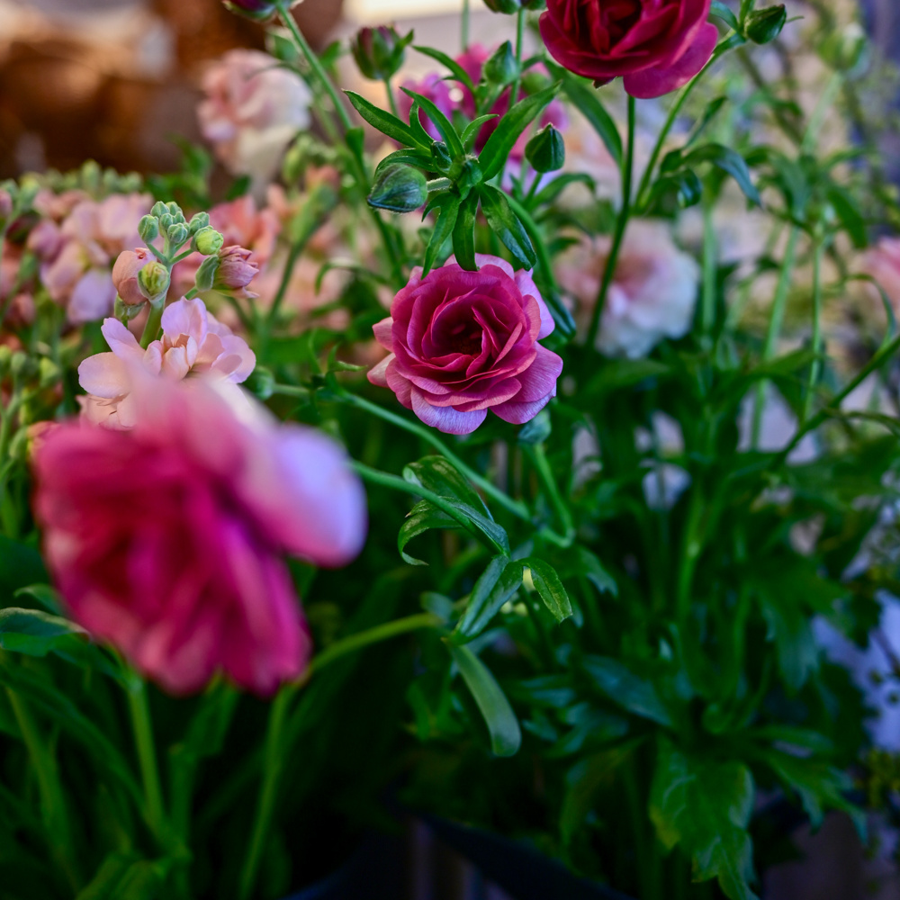 フラワーギフトブーケ・花束の写真