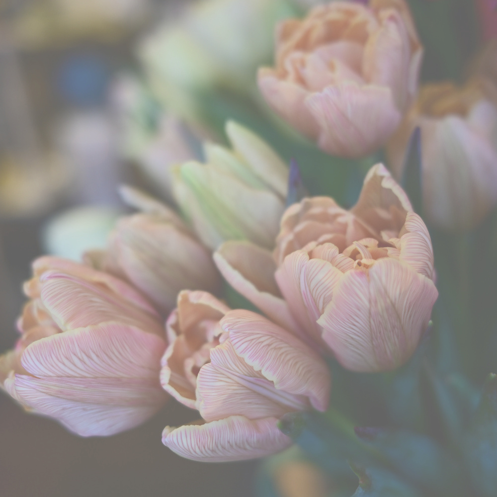 フラワーギフトブーケ・花束の写真