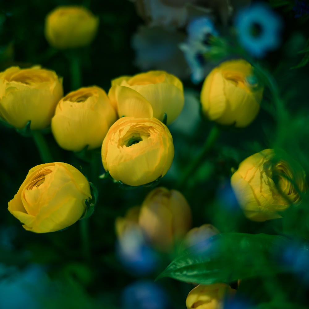 フラワーギフトブーケ・花束の写真