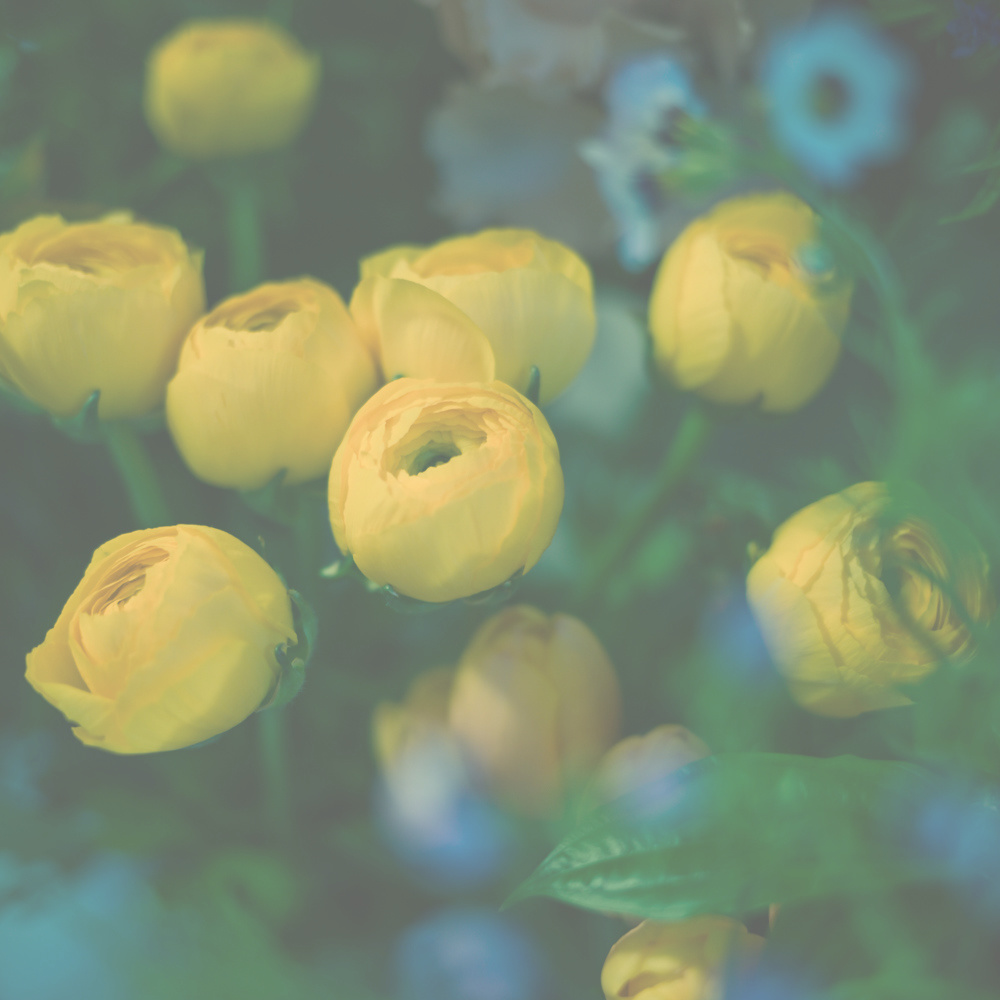 フラワーギフトブーケ・花束の写真