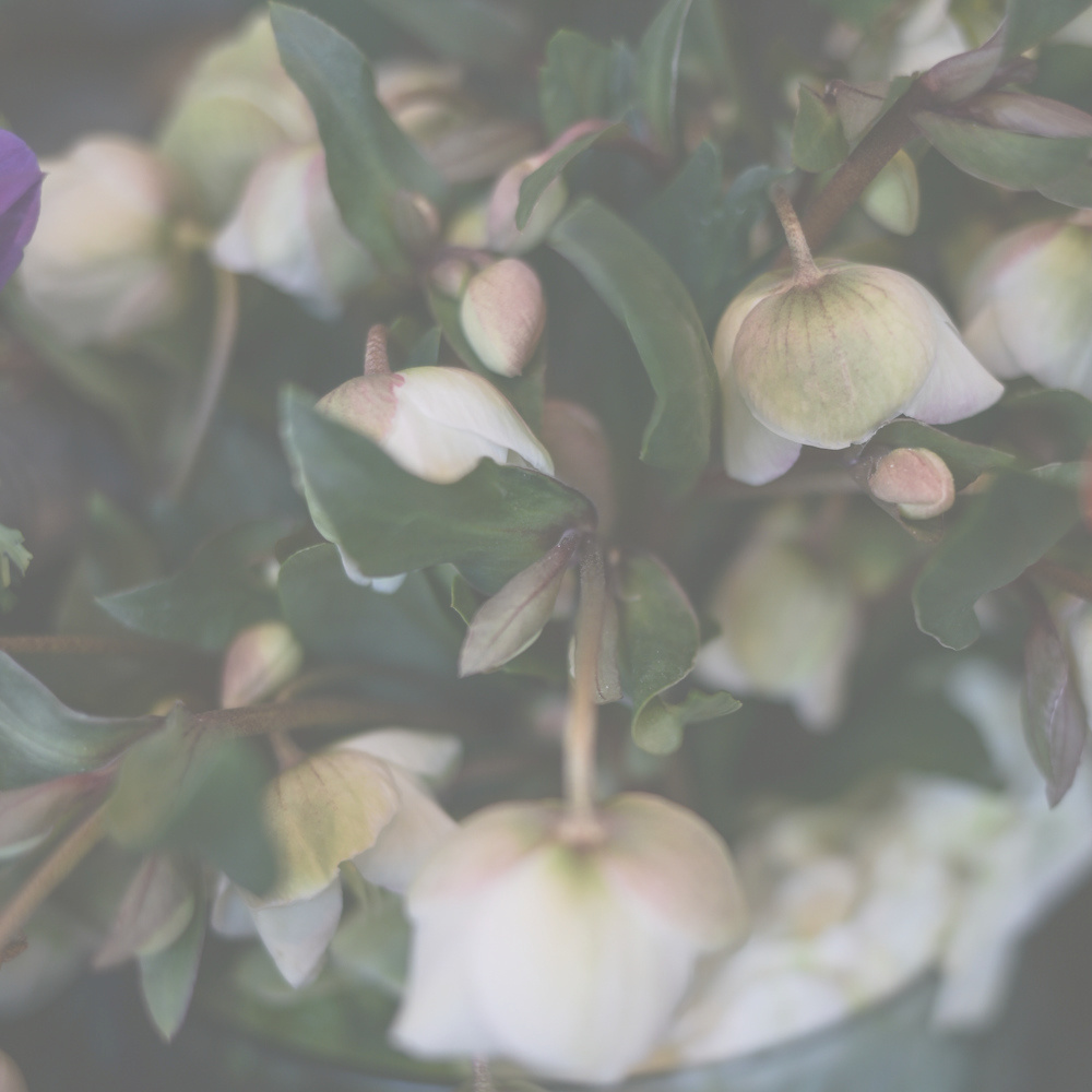 フラワーギフトブーケ・花束の写真