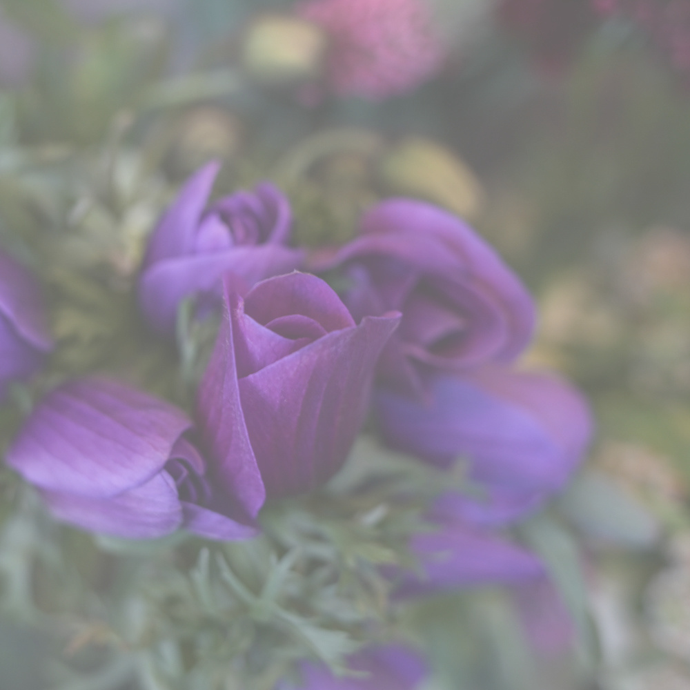 フラワーギフトブーケ・花束の写真