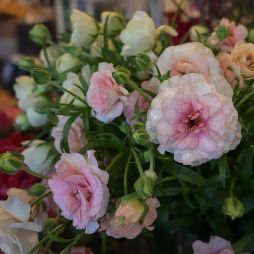 フラワーギフトブーケ・花束の写真