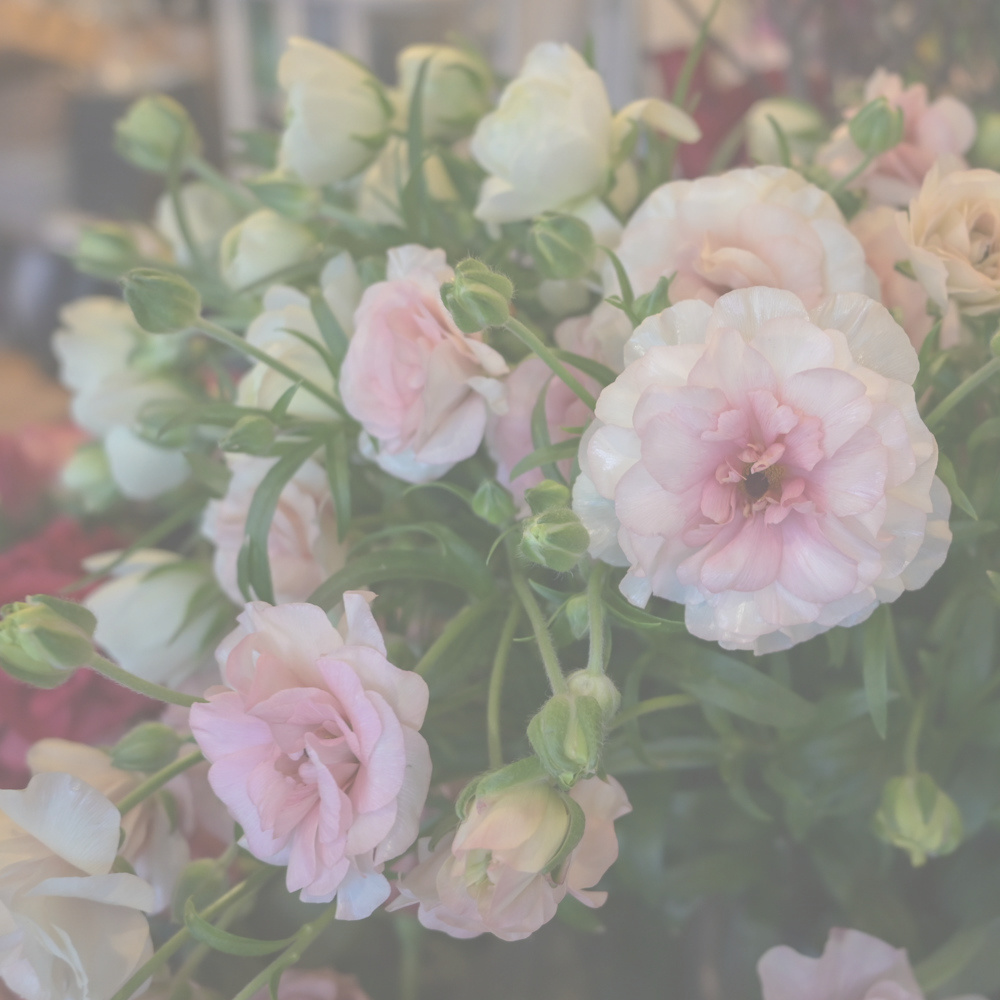 フラワーギフトブーケ・花束の写真